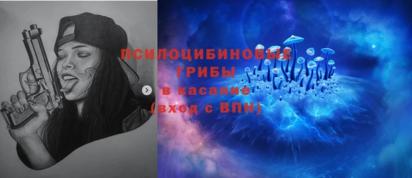 трава Бородино