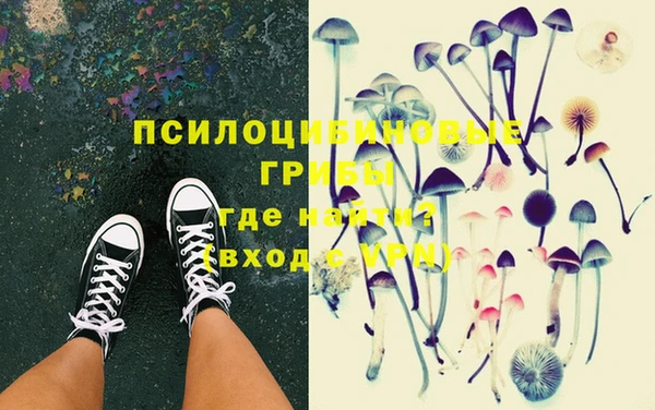 трава Бородино