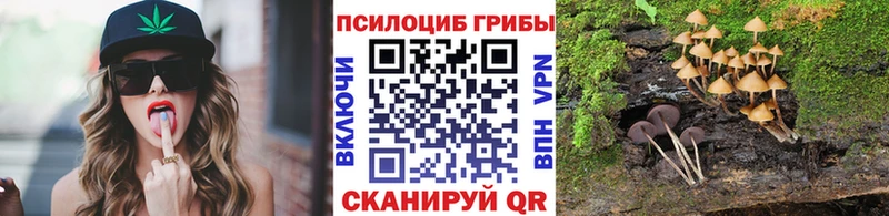Галлюциногенные грибы прущие грибы  купить наркотики цена  KRAKEN онион  Гулькевичи 